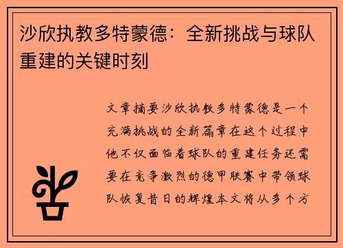 沙欣执教多特蒙德:全新挑战与球队重建的关键时刻 沙欣执教多特蒙德:全新挑战与球队重建的关键时刻
